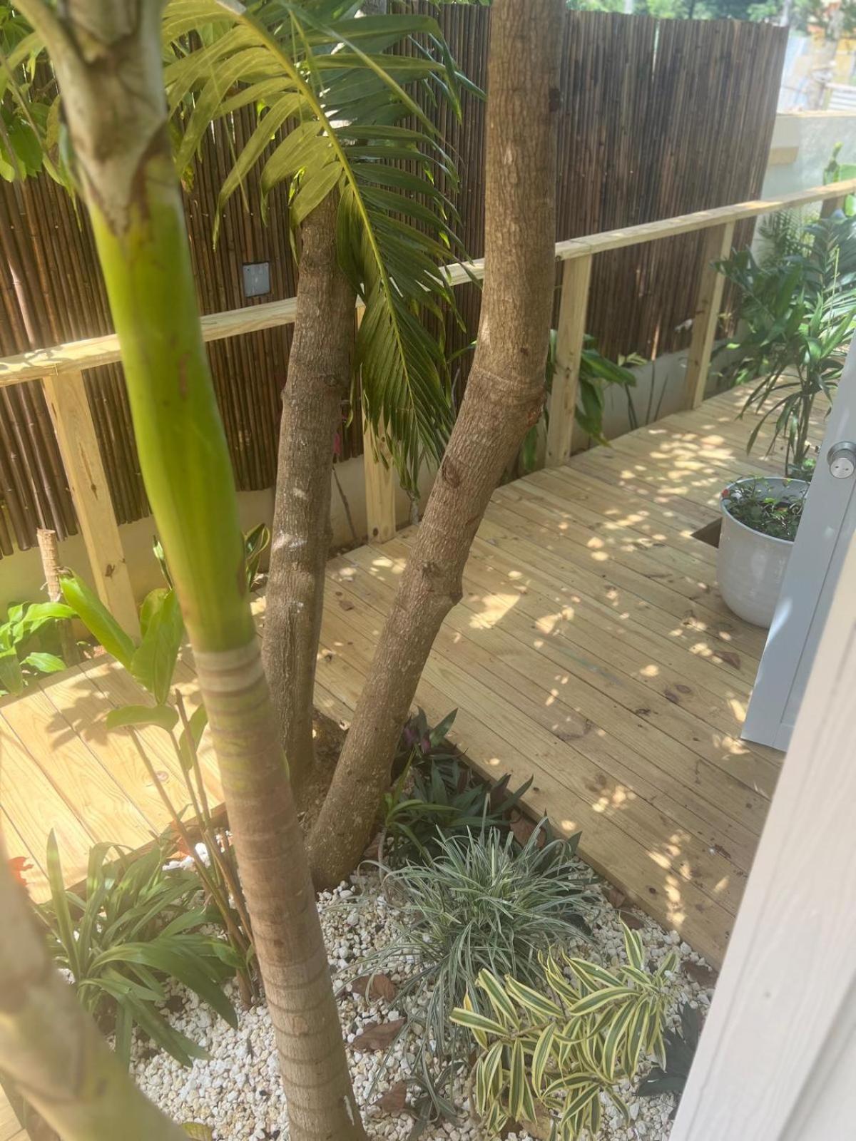 Bella Noni B&B Aguadilla Bagian luar foto
